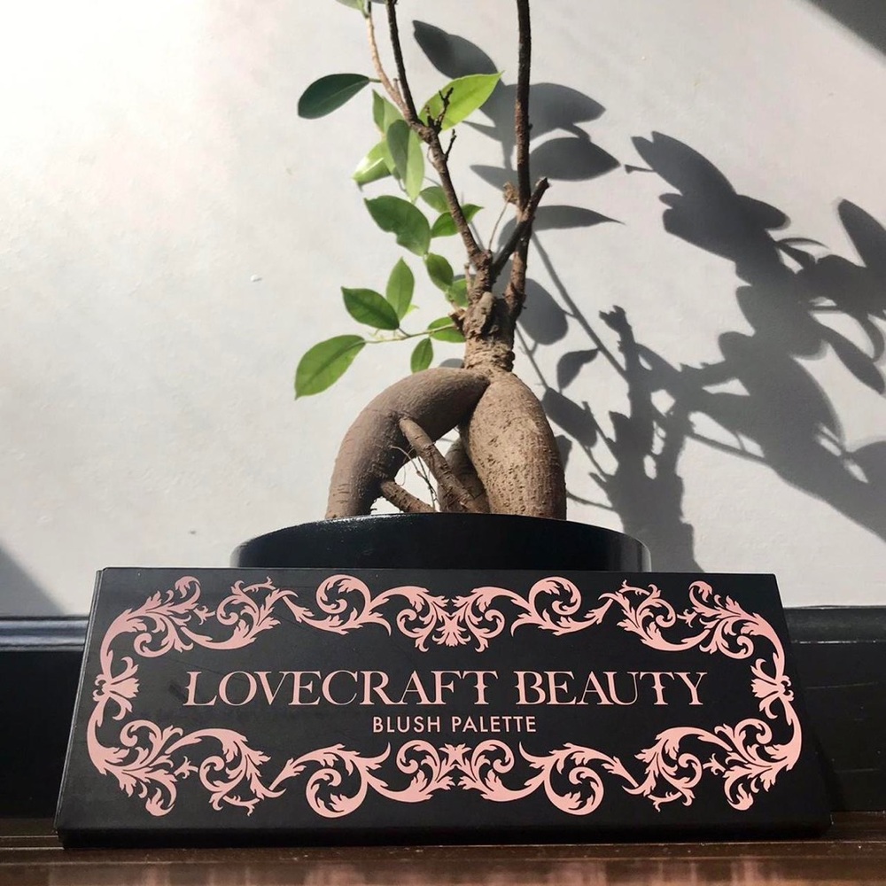 Love craft Beauty Blush Palette